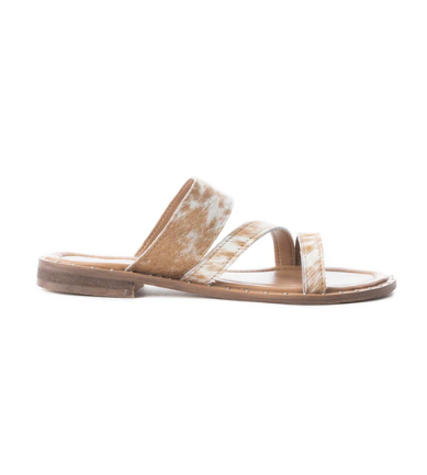 Ranch Ridge Slides