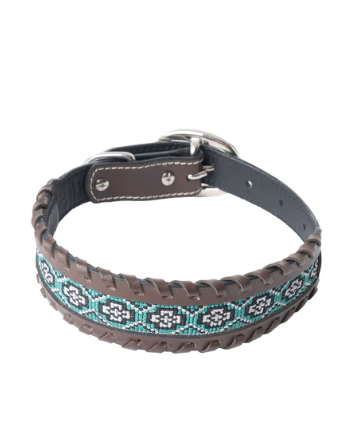 Freedom Trail Dog Collar