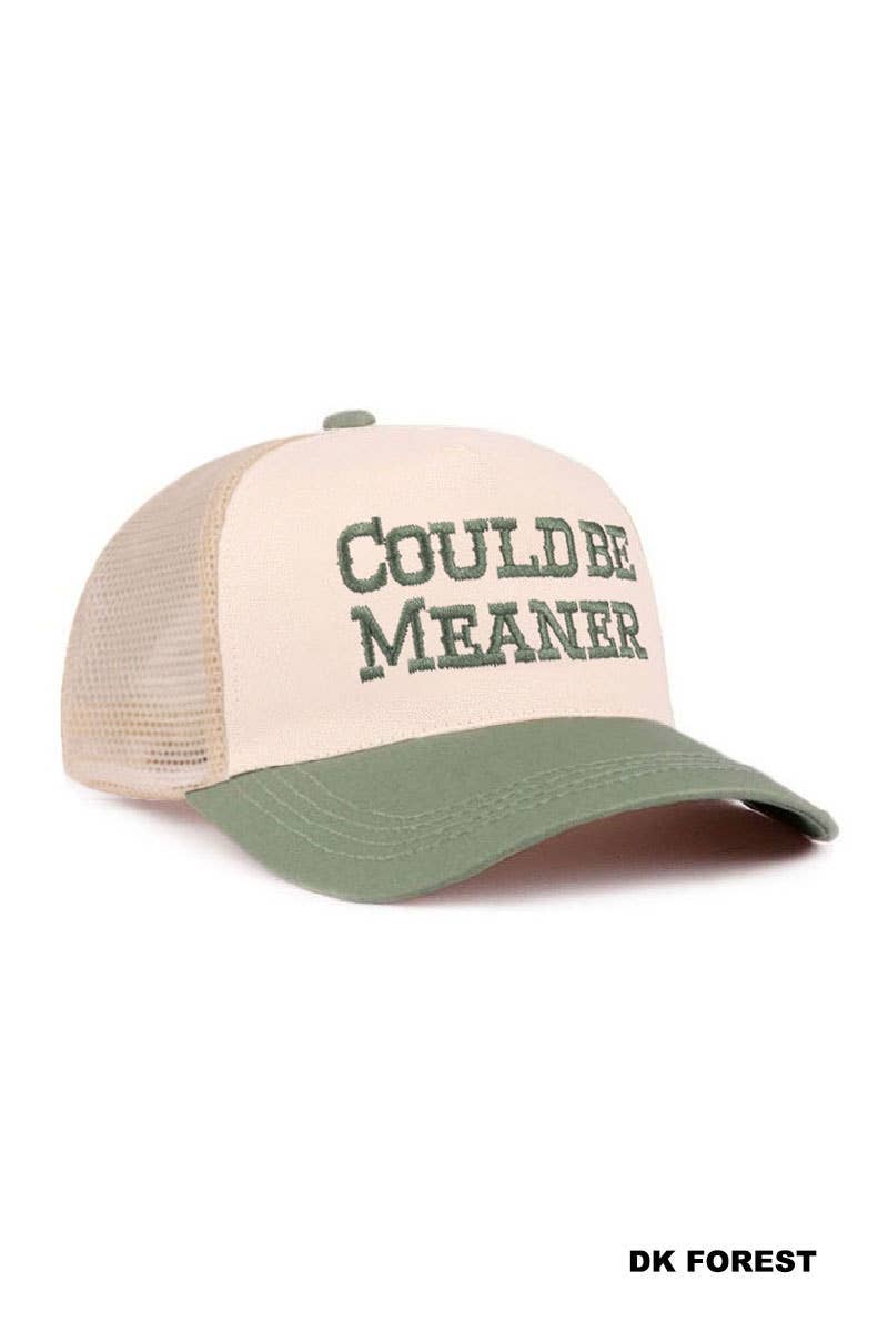Could Be Meaner Mesh Snapback Hat
