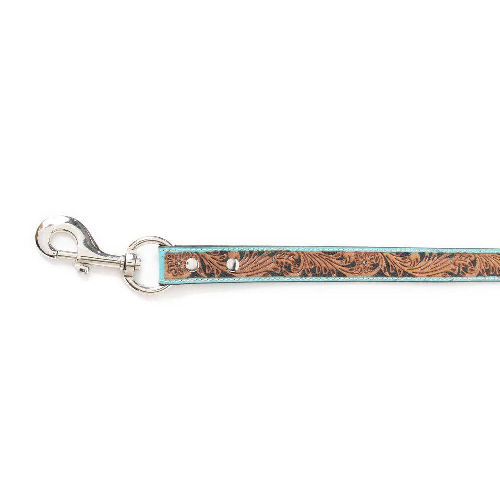Turquoise Dog Leash In Turquoise