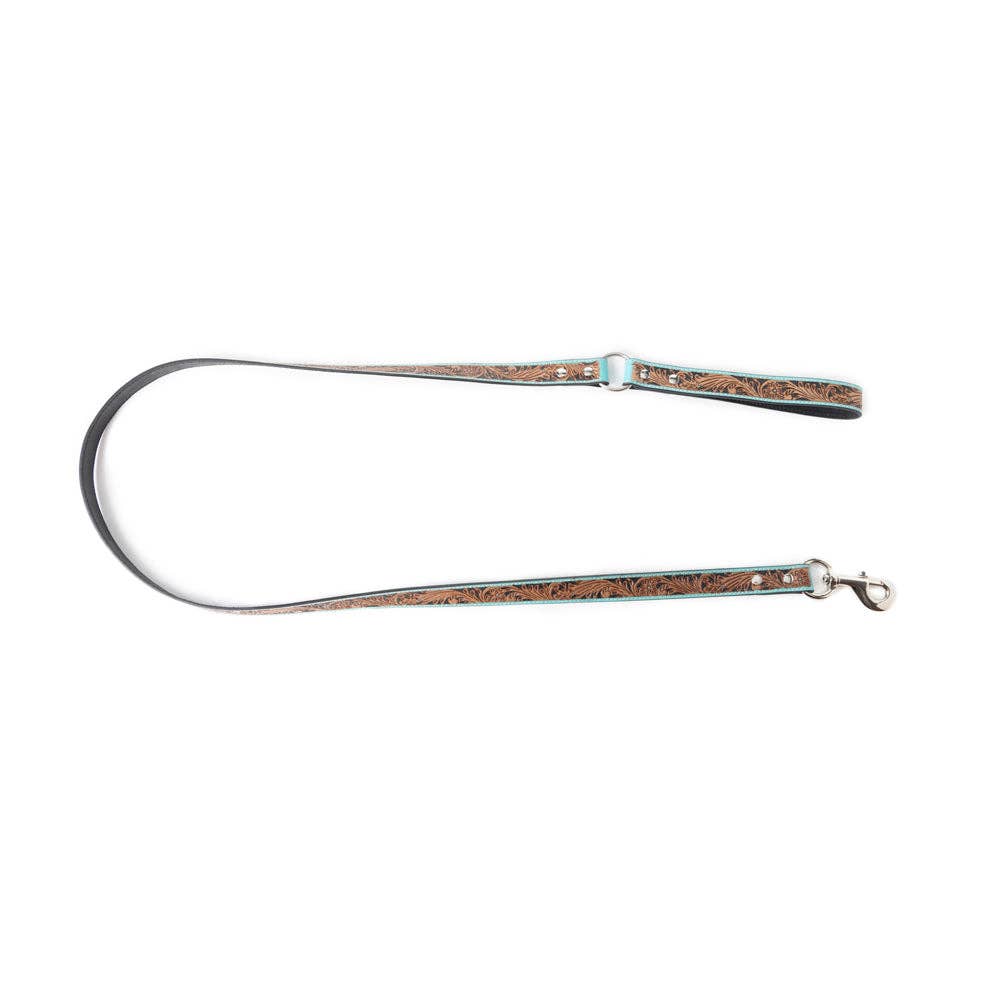 Turquoise Dog Leash In Turquoise