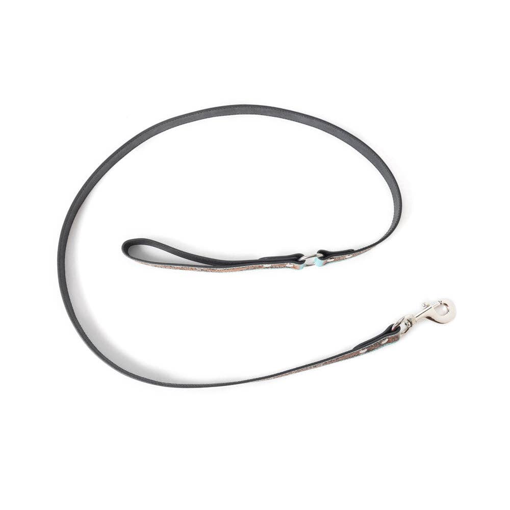Turquoise Dog Leash In Turquoise