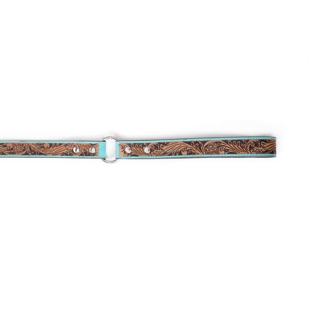 Turquoise Dog Leash In Turquoise