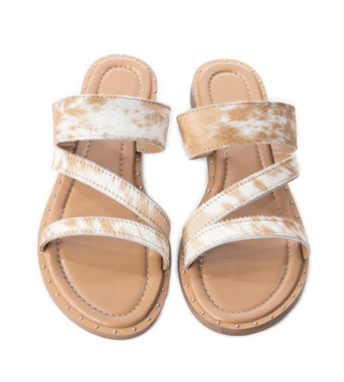Ranch Ridge Slides