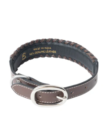 Freedom Trail Dog Collar