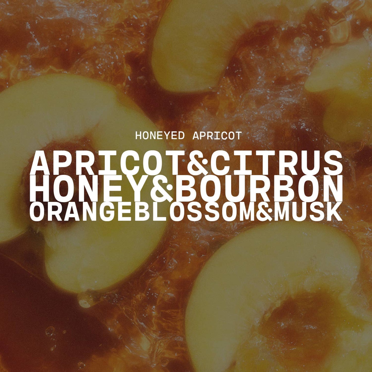 Honeyed Apricot : 16oz